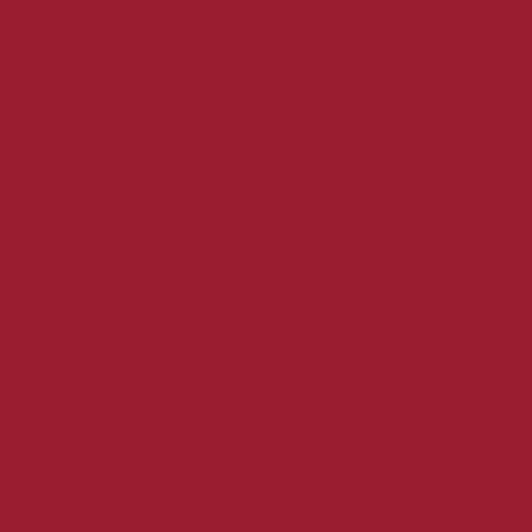 Bold Ruby