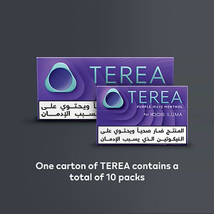 TEREA PURPLE WAVE Menthol (10 packs), Wave Menthol