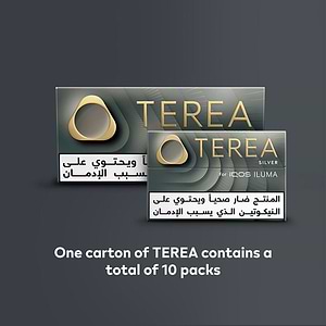 TEREA SILVER (10 packs), Silver