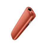 Vivid Terracotta
