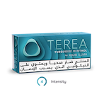 TEREA TURQUOISE Menthol (10 packs), Turquoise Menthol