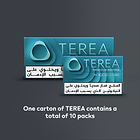 TEREA TURQUOISE Menthol (10 packs), Turquoise Menthol