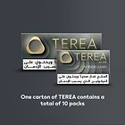 TEREA SILVER (10 packs), Silver